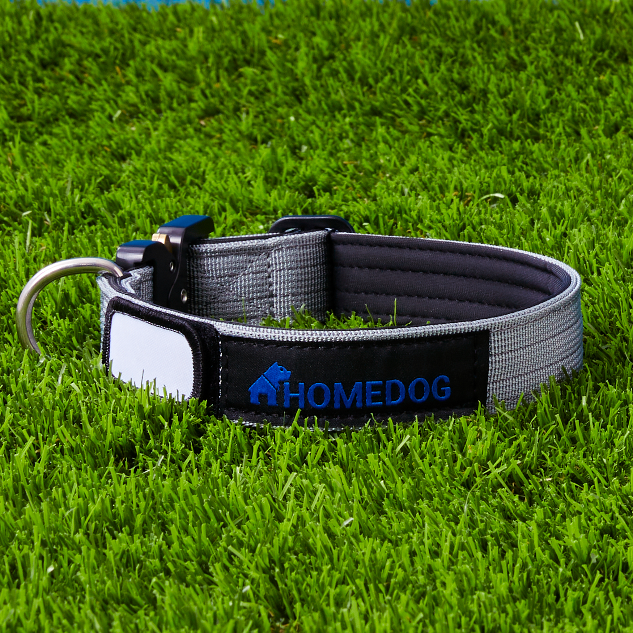 Flat collar dog deals