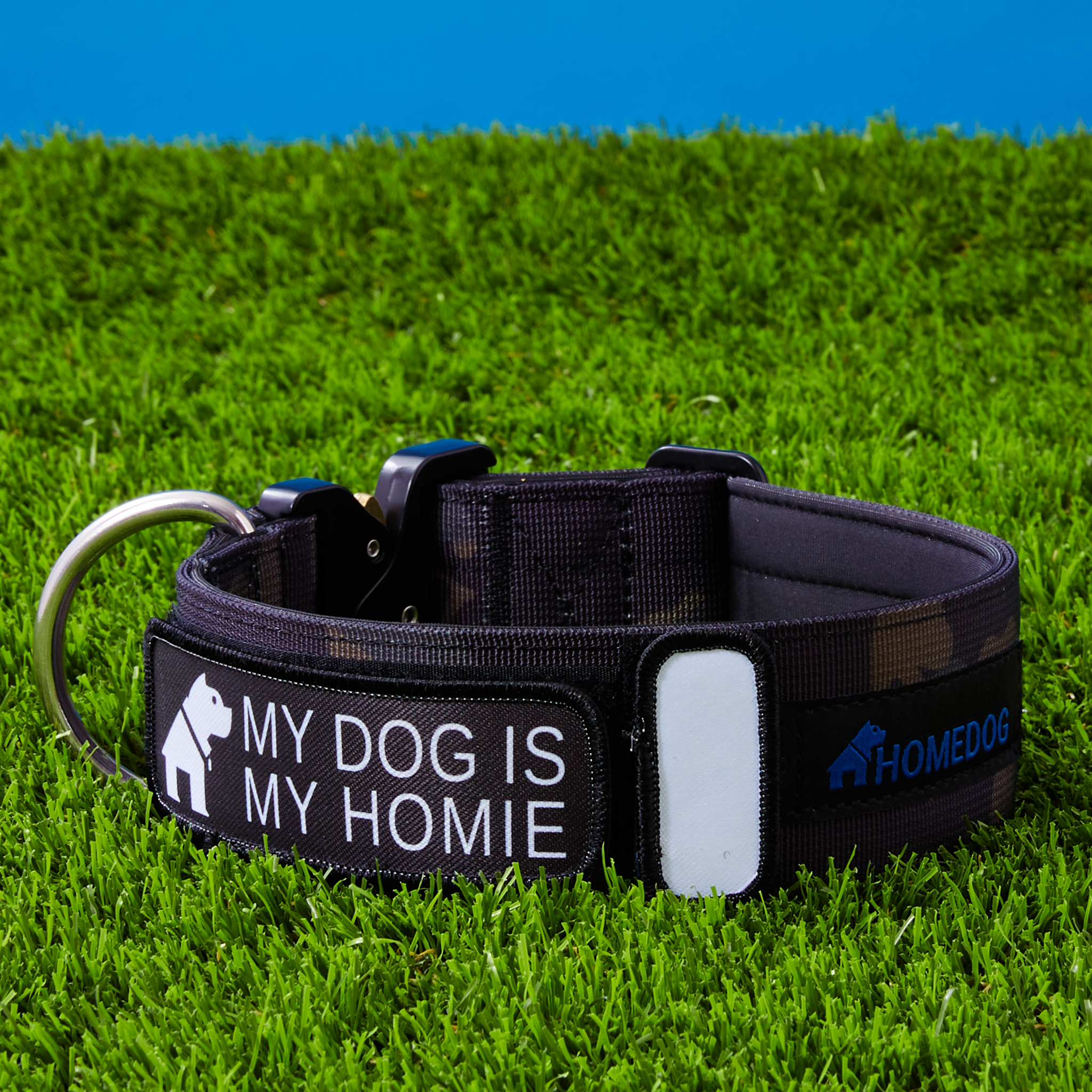 Extreme 2024 dog collar