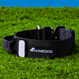 Customizable 2" Tactical Dog Collar with Handle
